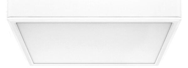 Plafonieră LED Rabalux 71245 LAURI LED/22W/230V 21x21 cm alb