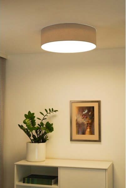 Duolla - Plafonieră LED CORTINA 26W 230V pr. 30 cm 4000K gri