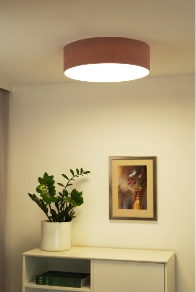 Duolla - Plafonieră LED CORTINA 26W 230V pr. 30 cm 4000K roz prindere
