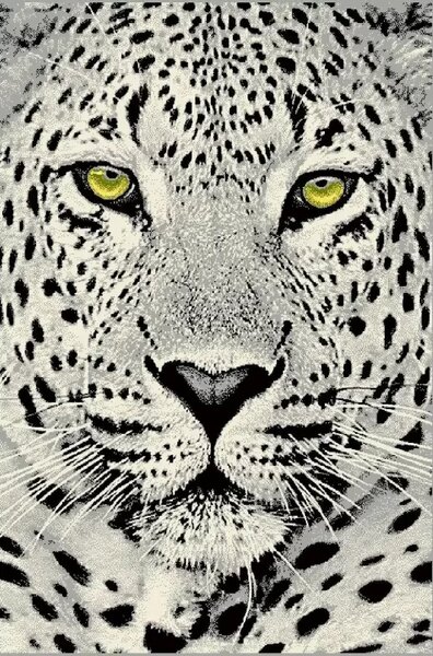 Covor Kolibri 11368-190 Leopard Selectează mărime: 200 X 300