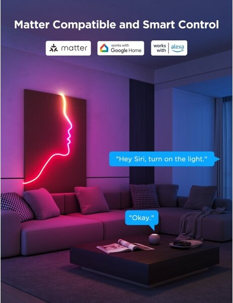 Bandă LED flexibilă Govee Neon 2 MATTER 3m RGBIC Wi-Fi