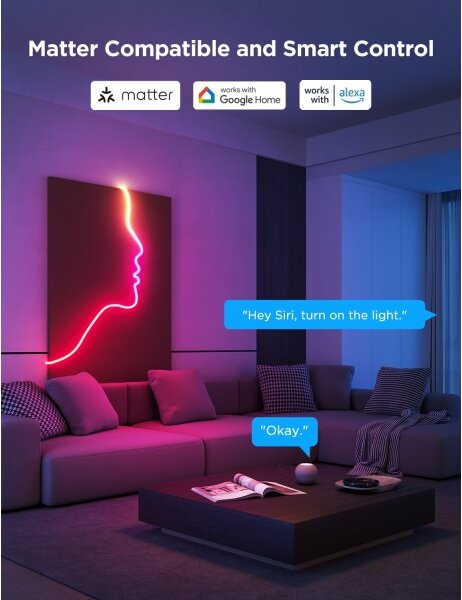 Bandă LED flexibilă Govee Neon 2 MATTER 5m RGBIC Wi-Fi IP67