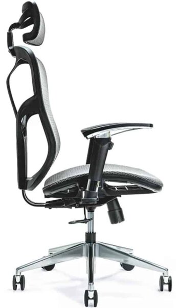 Scaun lemn masiv de birou ErgoFlex - Negru