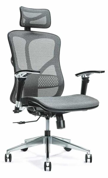 Scaun lemn masiv de birou ErgoFlex - Gri