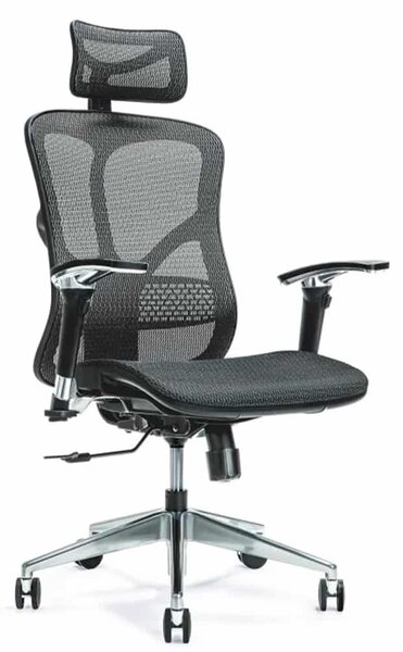 Scaun lemn masiv de birou ErgoFlex - Negru