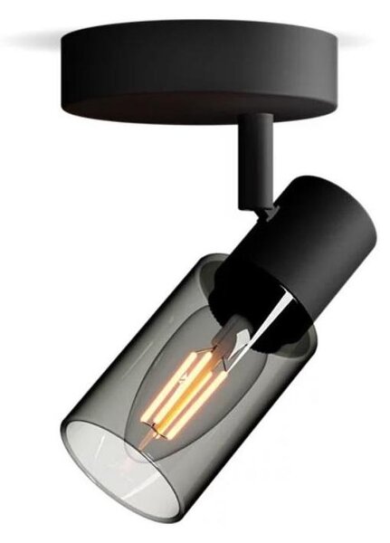 Spot Philips PALMS 1xE14/25W/230V