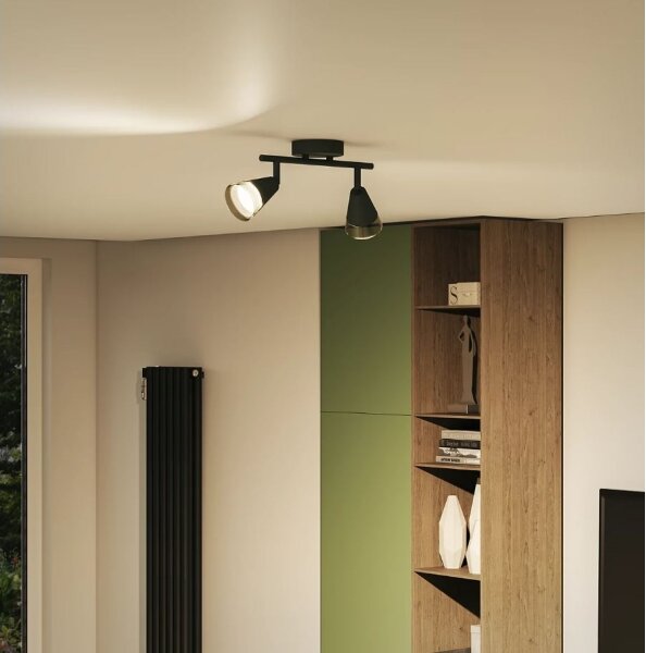 Spot Philips CLEFT 2xGU10/5W/230V