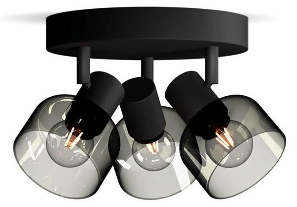 Spot Philips SLEET 3xE14/25W/230V