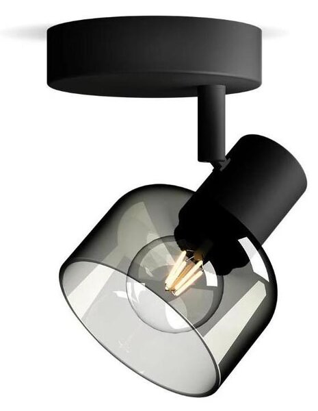 Spot Philips SLEET 1xE14/25W/230V