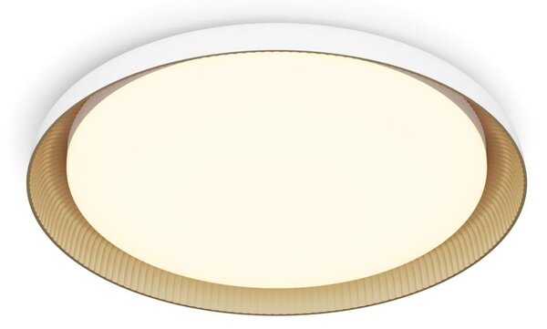 Plafonieră LED dimabilă Philips PEBBLO LED/10W/230V 2700K alb