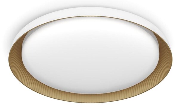 Plafonieră LED dimabilă Philips PEBBLO LED/10W/230V 4000K alb