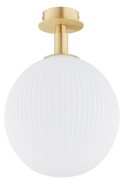 Plafonieră Argon 8505 PALOMA 1xE27/15W/230V auriu/alb
