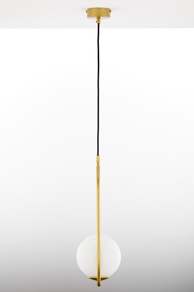 Lustră pe cablu Jupiter 2042 IGON 1xE14/40W/230V auriu