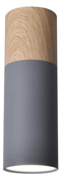 Plafonieră TUBA GU10/15W/230V