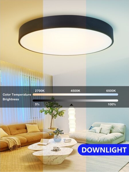 Plafonieră LED dimabilă Immax NEO 07203L RONDATE 65W/230V Tuya negru + telecomandă