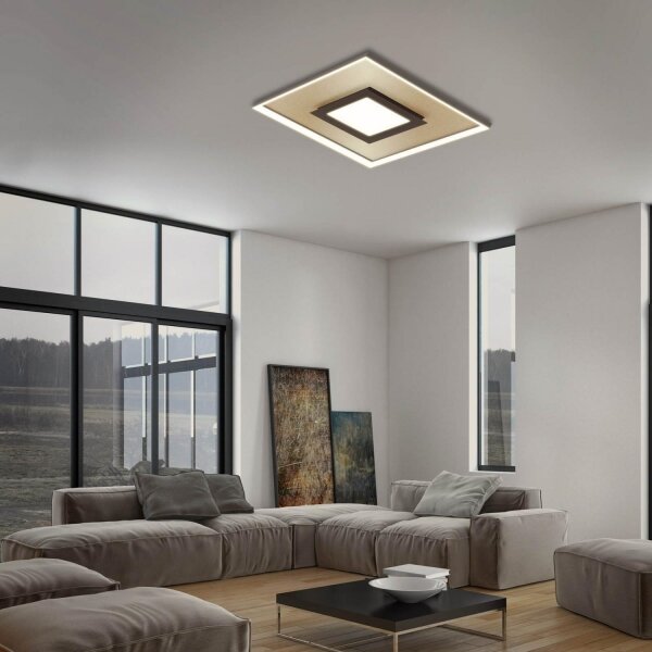 Plafonieră LED dimabilă Briloner 3641-017 FRAME LED/30W/230V 2700-6500K + telecomandă