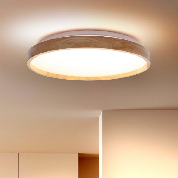 Brilagi - Plafonieră LED dimabilă ALSON LED/48W/230V 3000-6500K + telecomandă