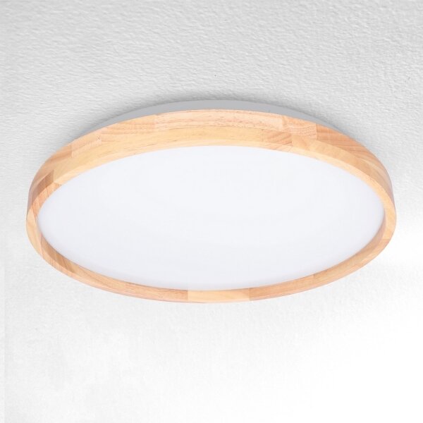 Brilagi - Plafonieră LED dimabilă ALSON LED/48W/230V 3000-6500K + telecomandă