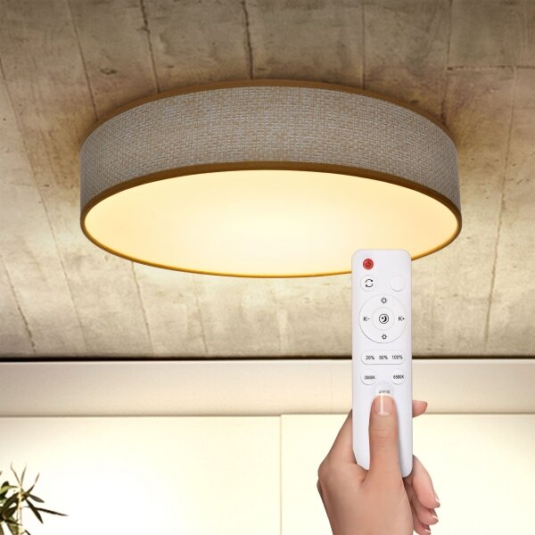 Plafonieră LED dimabilă Brilagi CARMEN LED/48W/230V 3000-6500K + telecomandă