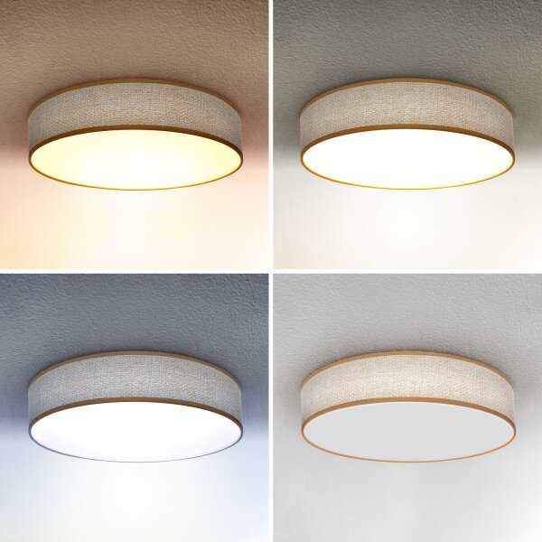 Plafonieră LED dimabilă Brilagi CARMEN LED/48W/230V 3000-6500K + telecomandă