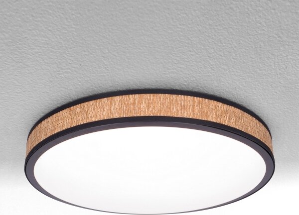 Plafonieră LED dimabilă Brilagi ROSA LED/48W/230V 3000-6500K + telecomandă