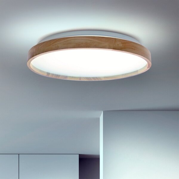 Brilagi - Plafonieră LED dimabilă ALSON LED/48W/230V 3000-6500K + telecomandă