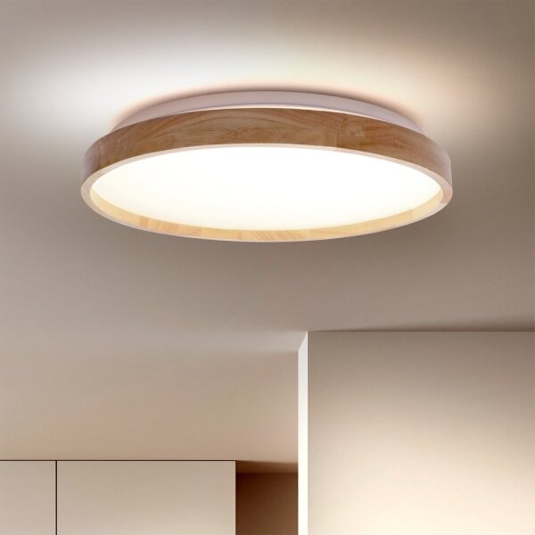 Brilagi - Plafonieră LED dimabilă ALSON LED/48W/230V 3000-6500K + telecomandă