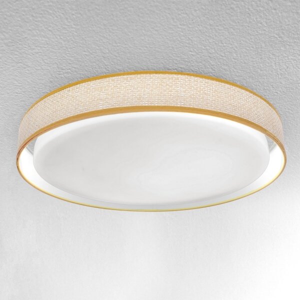 Plafonieră LED dimabilă Brilagi KIANIA LED/48W/230V 3000-6500K + telecomandă