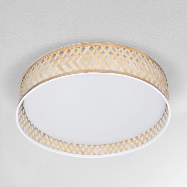 Plafonieră LED dimabilă Brilagi CAMILA LED/48W/230V 3000-6500K + telecomandă