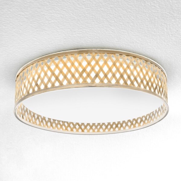 Plafonieră LED dimabilă Brilagi CAMILA LED/48W/230V 3000-6500K + telecomandă