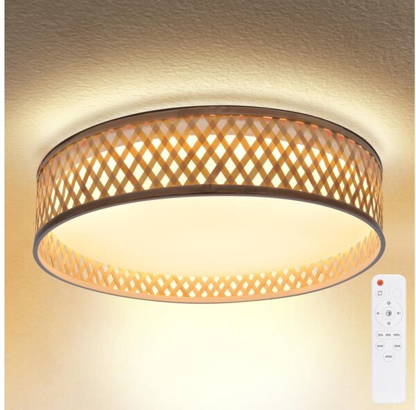 Plafonieră LED dimabilă Brilagi CAMILA LED/48W/230V 3000-6500K + telecomandă