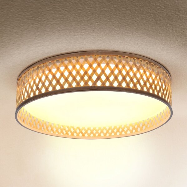 Plafonieră LED dimabilă Brilagi CAMILA LED/48W/230V 3000-6500K + telecomandă