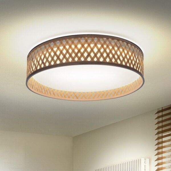 Plafonieră LED dimabilă Brilagi CAMILA LED/48W/230V 3000-6500K + telecomandă