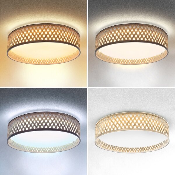 Plafonieră LED dimabilă Brilagi CAMILA LED/48W/230V 3000-6500K + telecomandă