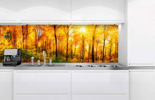 Fototapet pentru bucătărie - pădure însorită 180 x 60 cm