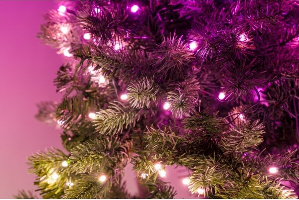 Twinkly GD20P4425P00 - Ghirlandă LED RGB reglabilă 50xLED, pr. 60 cm, Wi-Fi