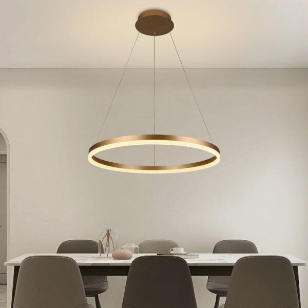 Brilagi - Lustră LED dimabilă suspendată pe cablu CIRCLE, 42W/230V, 3000-6500K + telecomandă