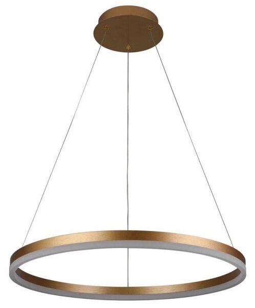 Brilagi - Lustră LED dimabilă suspendată pe cablu CIRCLE, 42W/230V, 3000-6500K + telecomandă