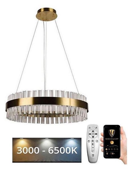Brilagi - Lustru cu cristale LED dimabil pe cablu HALO LED/40W/230V + telecomandă