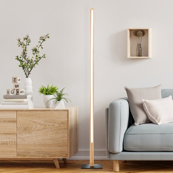 Brilliant - Lampadar ARION LED, 14W/230V, din pin