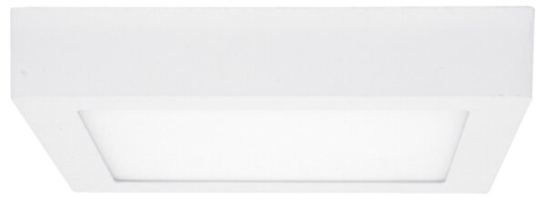 Ecolite LED-CSQ-CCT/12W/BI - Plafonieră LED RAFA 12W/230V albă