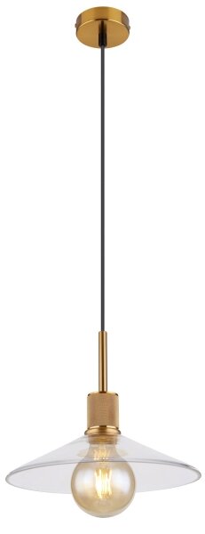 Lustră pe cablu ADARA 1xE27/60W/230V Globo 15461H