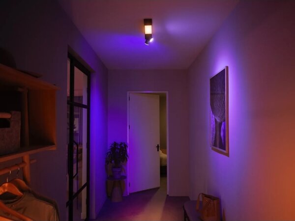 Philips LED RGBW Hue CENTRIS spot reglabil 2xGU10/4,2W + LED/11W