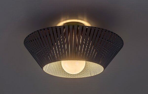 Rabalux 71248 - Plafonieră RAVEN 1xE27/6W/230V