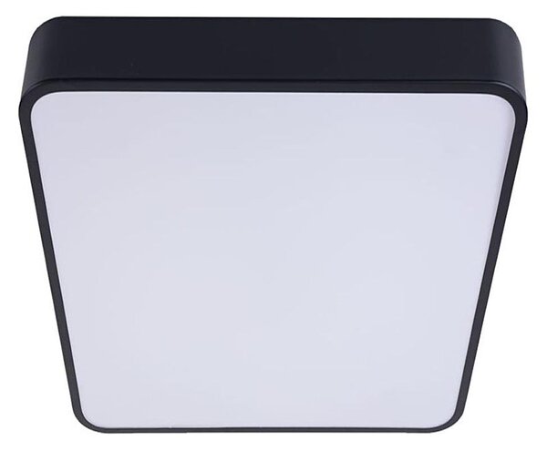 Plafonieră LED FELIZ LED/50W/230V 4000K 40x60 cm negru