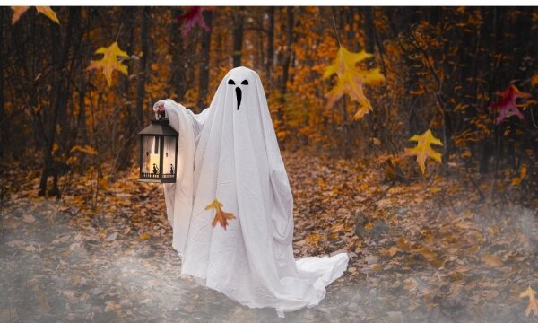 Decorațiune LED HALLOWEEN Retlux LED/3xAAA/alb cald, felinar