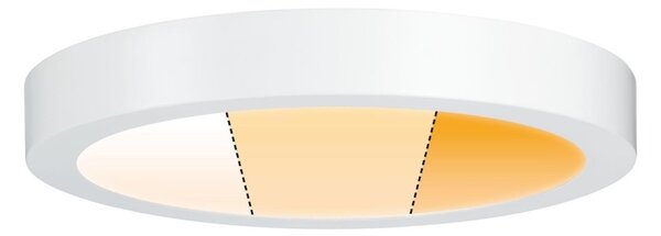 Plafonieră LED/19W Paulmann 79799 CARPO 230V 2300/2500/3000K