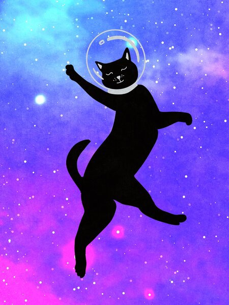 Ilustrație Happy Space Cat, Raissa Oltmanns, (30 x 40 cm)