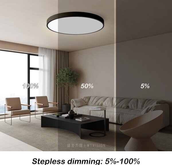 Plafonieră LED dimabilă Immax NEO 07250L SEMPLICI 60W/230V Wi-Fi Tuya negru + telecomandă