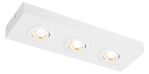 Spot LED Briloner 3996036 CTS 3xLED/4W/230V 2700/4000K alb